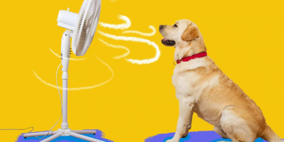 Hot tips to reduce the cost of electricity bills over summer