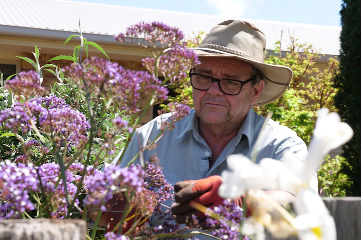 Climate change is changing the gardening game in Queensland's flower capital