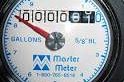 Who reads water meters