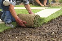 7 landscaping tips to increase your property’s value